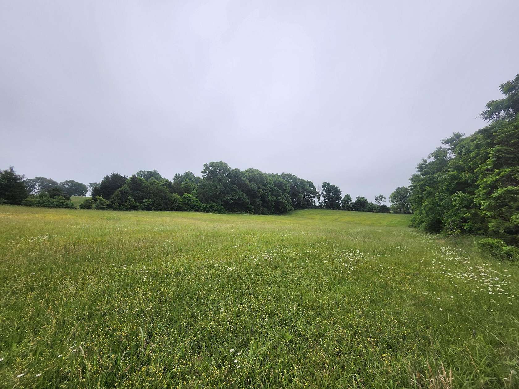 31 Acres of Land for Sale in Hartville, Missouri