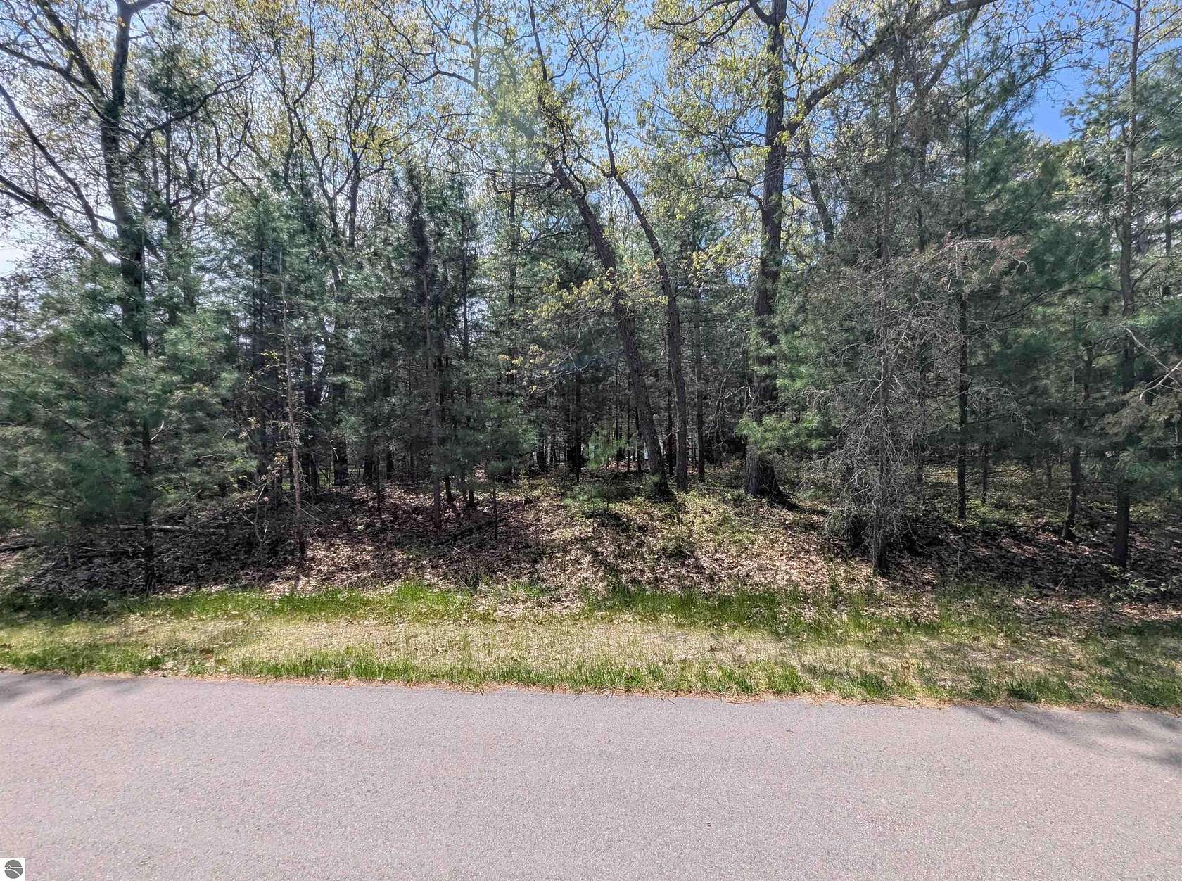 0.38 Acres of Land for Sale in Au Gres, Michigan