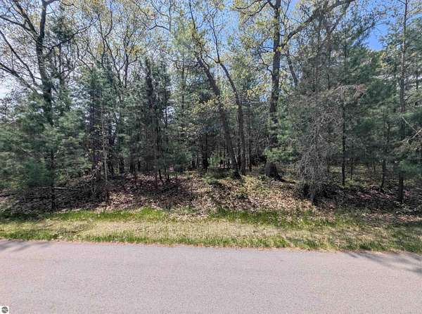 0.38 Acres of Land for Sale in Au Gres, Michigan