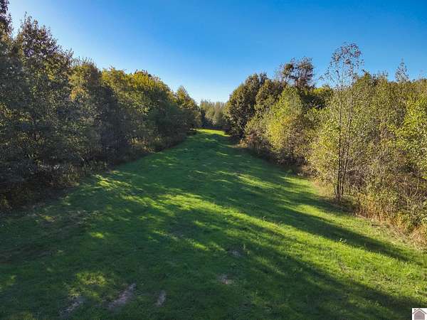 51.3 Acres of Recreational & Residential Land for Sale in Bardwell, Kentucky