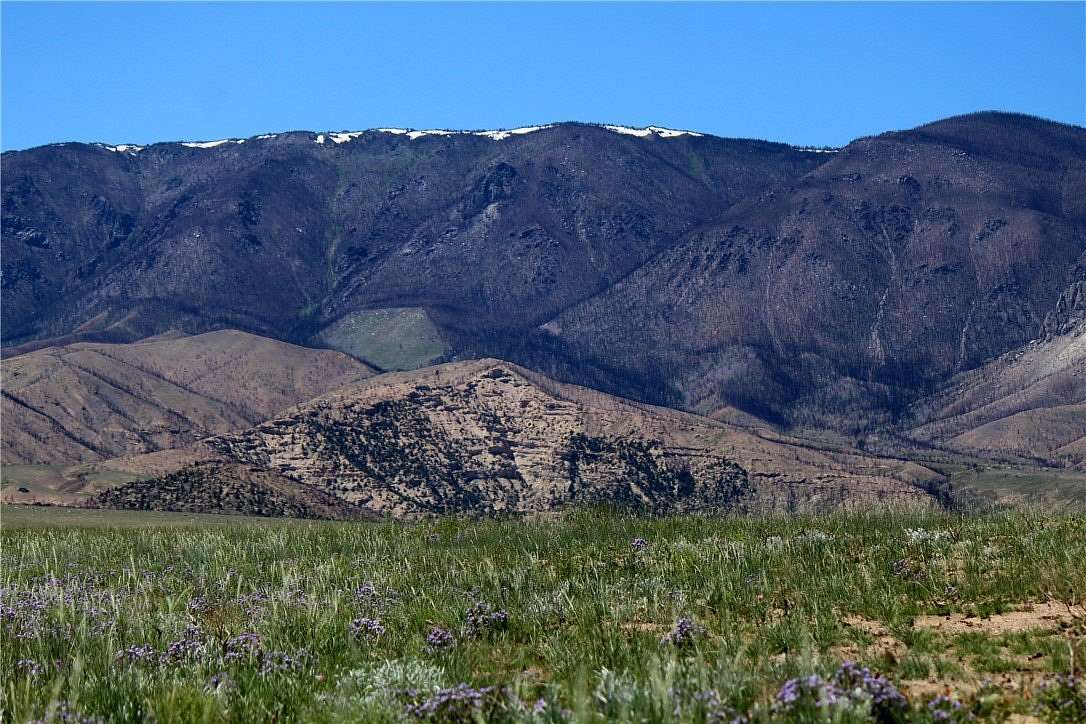21.9 Acres of Recreational Land for Sale in Belfry, Montana