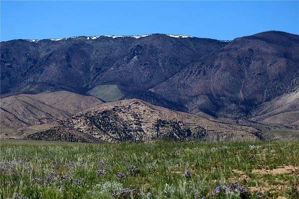 21.9 Acres of Recreational Land for Sale in Belfry, Montana