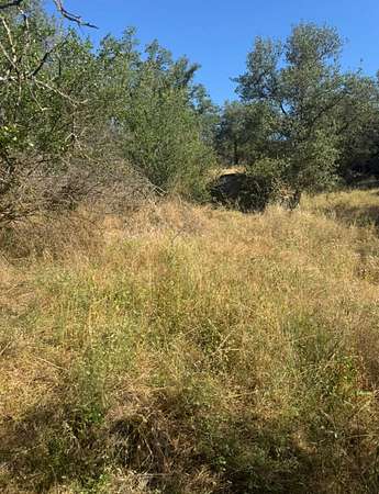 1.25 Acres of Residential Land for Sale in Coarsegold, California