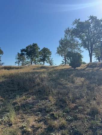 1.17 Acres of Residential Land for Sale in Coarsegold, California