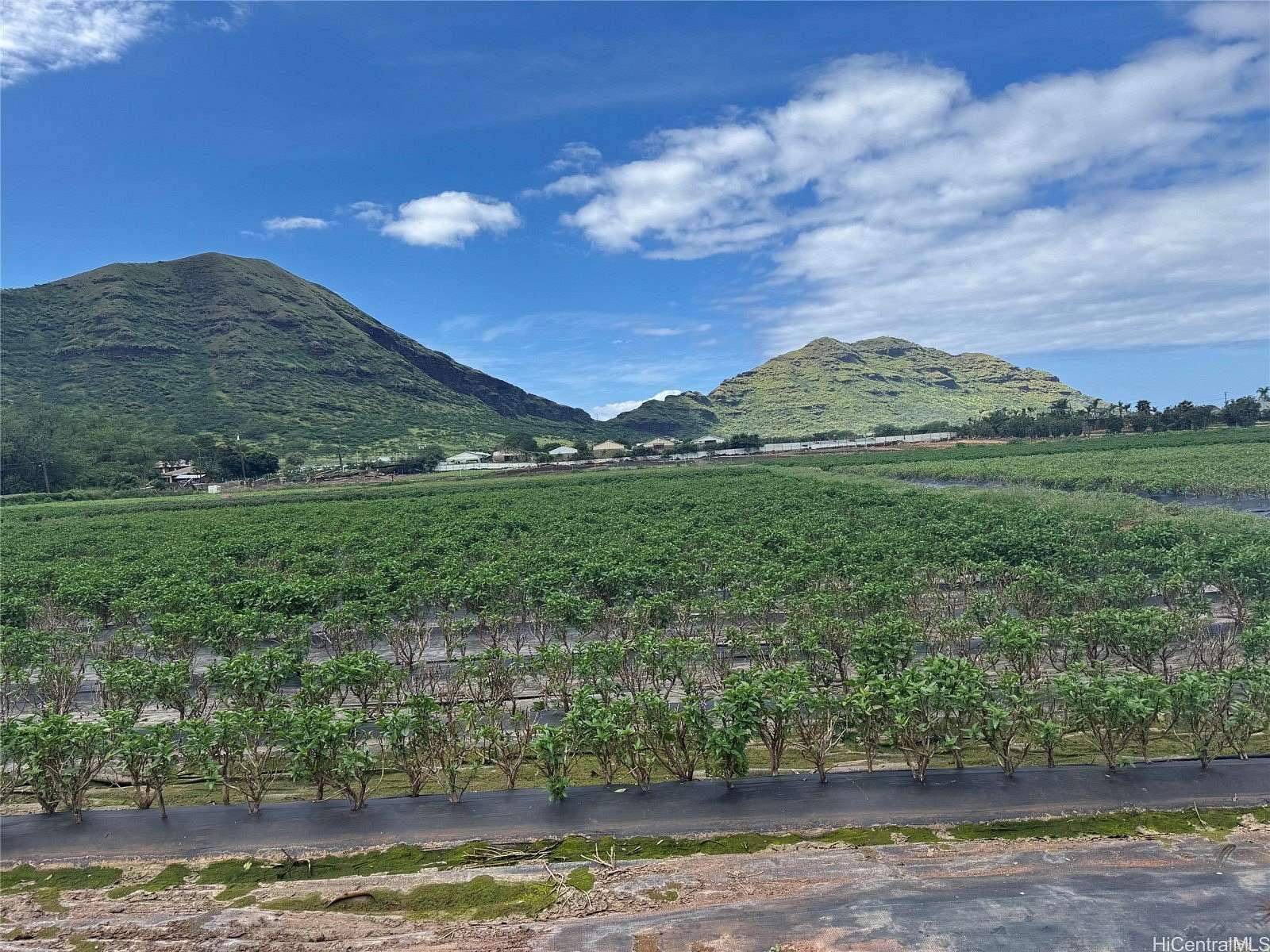 Land for Sale in Waianae, Hawaii