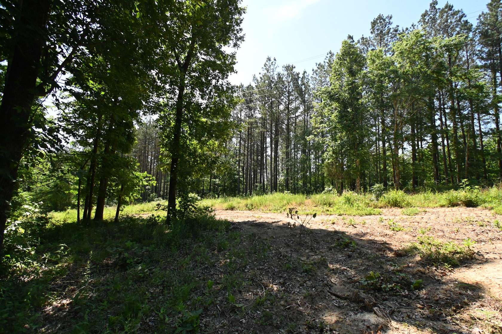 41 Acres of Recreational & Residential Land for Sale in Waverly, Tennessee