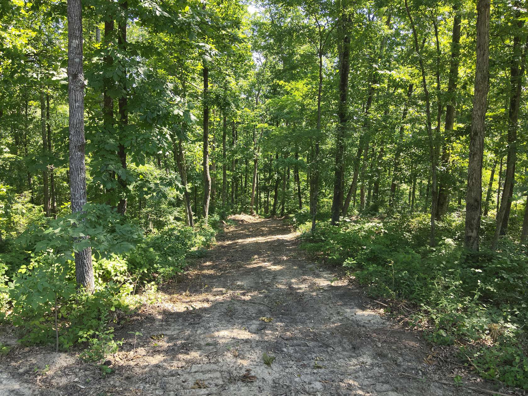 41 Acres of Land for Sale in Waverly, Tennessee