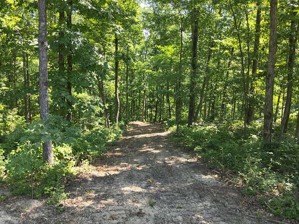 41 Acres of Land for Sale in Waverly, Tennessee