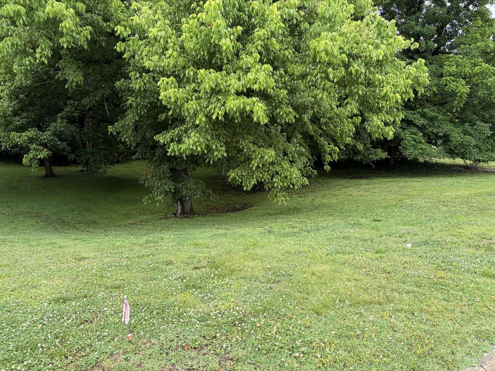 0.09 Acres of Residential Land for Sale in Clarksville, Tennessee