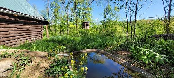 28.3 Acres of Recreational Land for Sale in Kimbolton, Ohio