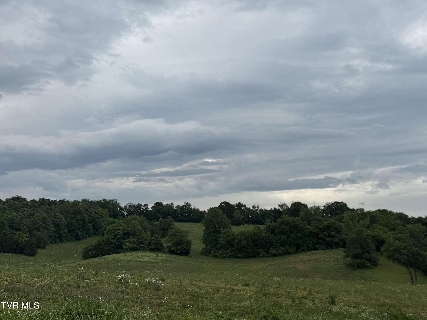 15 Acres of Land for Sale in Telford, Tennessee
