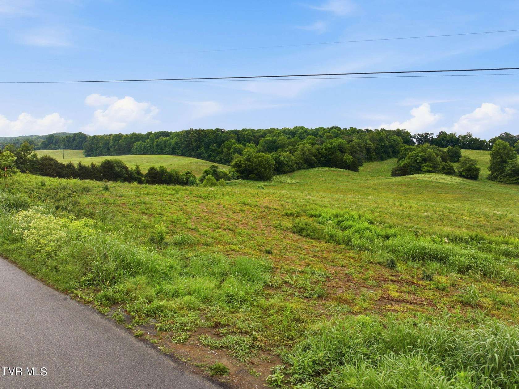 15 Acres of Land for Sale in Telford, Tennessee