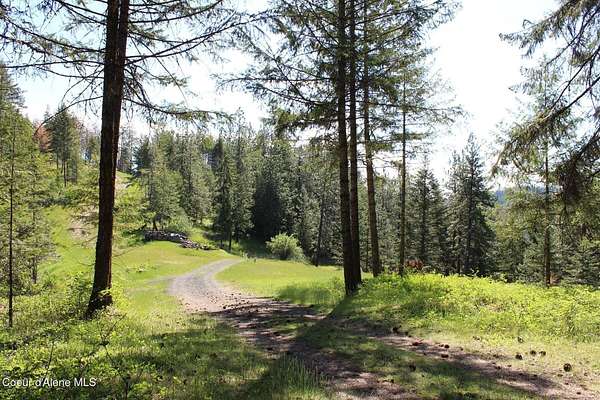 20 Acres of Land for Sale in Coeur d'Alene, Idaho