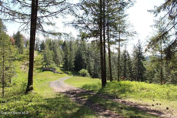 20 Acres of Land for Sale in Coeur d'Alene, Idaho