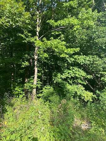 5 Acres of Residential Land for Sale in Wilder, Tennessee