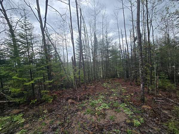 0.44 Acres of Land for Sale in Wolverine, Michigan