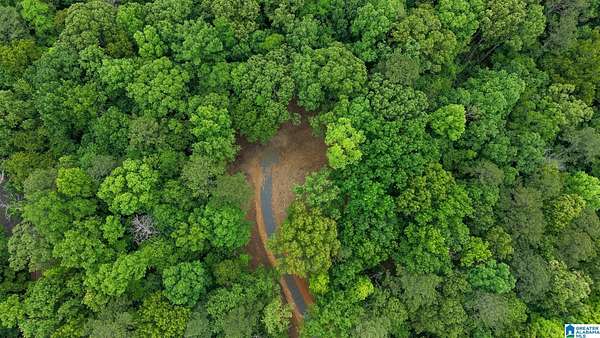 7.87 Acres of Residential Land for Sale in Pell City, Alabama