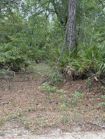 1 Acre of Land for Sale in Hortense, Georgia