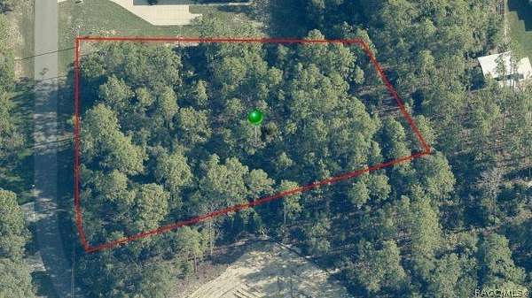 1.14 Acres of Residential Land for Sale in Beverly Hills, Florida