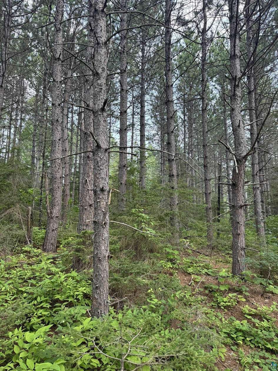 10.2 Acres of Land for Sale in Schroeder, Minnesota
