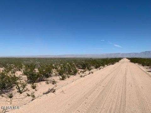 43 Acres of Recreational Land for Sale in Dell City, Texas
