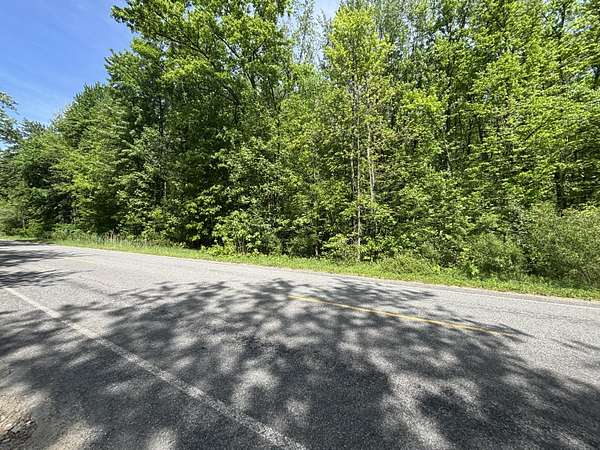 10 Acres of Residential Land for Sale in Shelbyville, Michigan