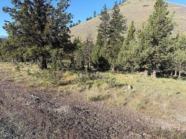 0.39 Acres of Residential Land for Sale in Weed, California