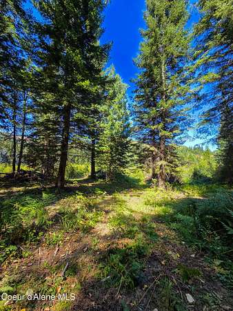10 Acres of Recreational & Residential Land for Sale in Priest River, Idaho