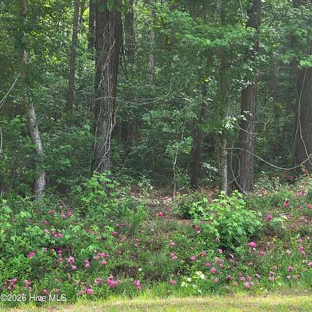5.2 Acres of Residential Land for Sale in Currie, North Carolina