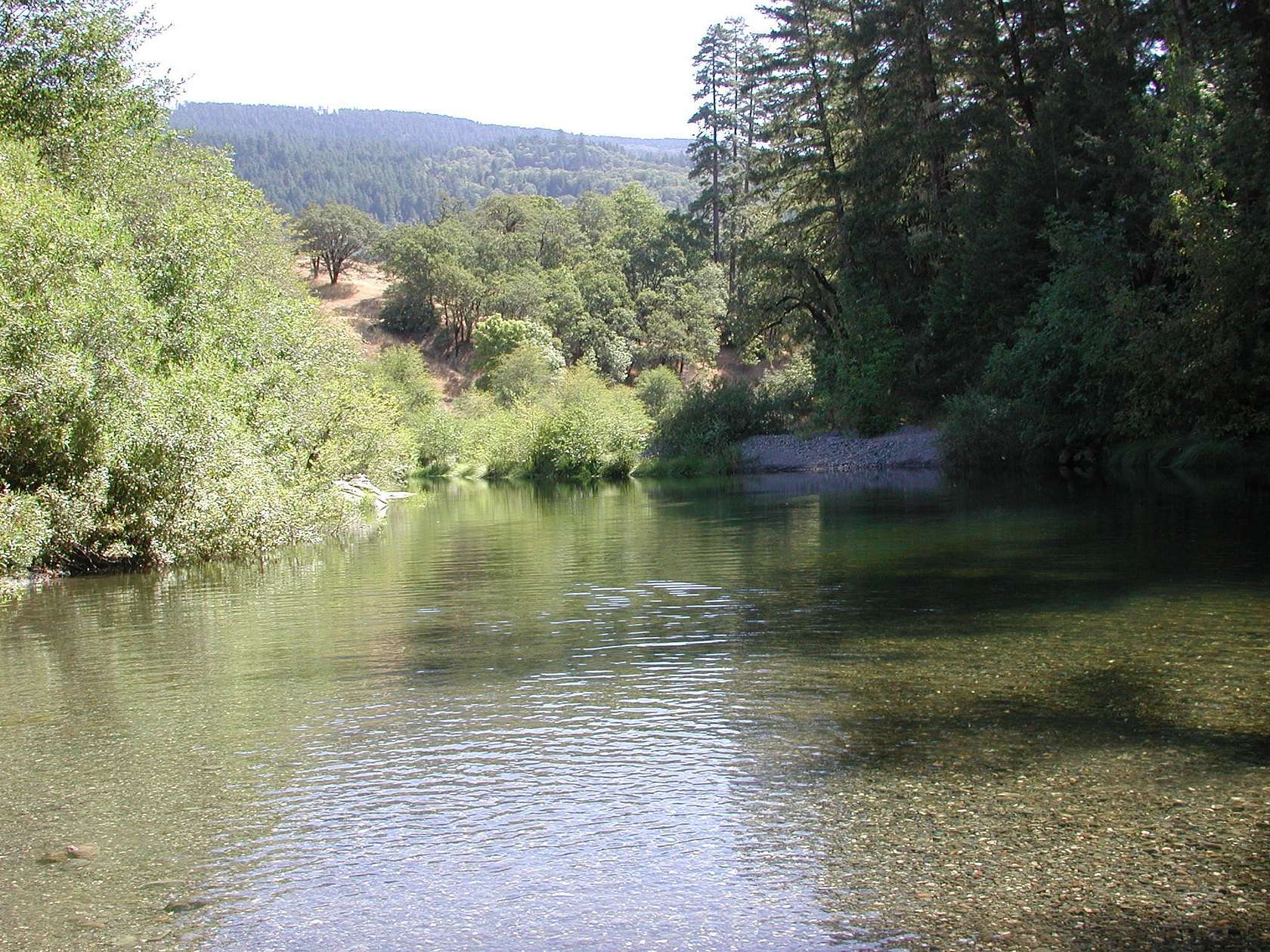 40 Acres of Recreational Land for Sale in Mad River, California
