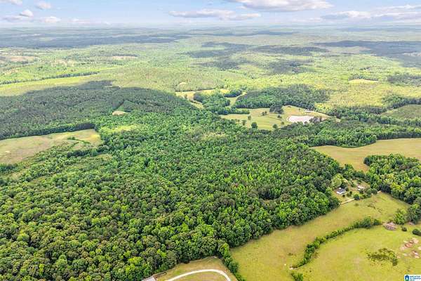 40 Acres of Recreational & Residential Land for Sale in Lawley, Alabama
