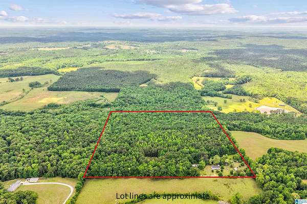 40 Acres of Recreational & Residential Land for Sale in Lawley, Alabama