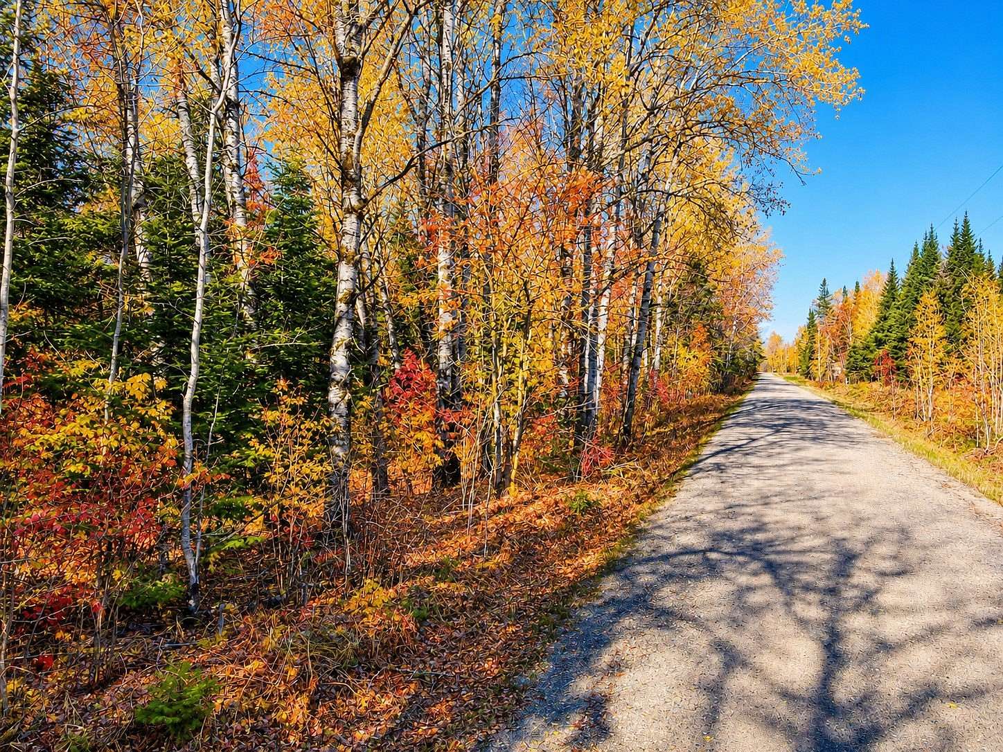 6.7 Acres of Residential Land for Sale in Wawina, Minnesota