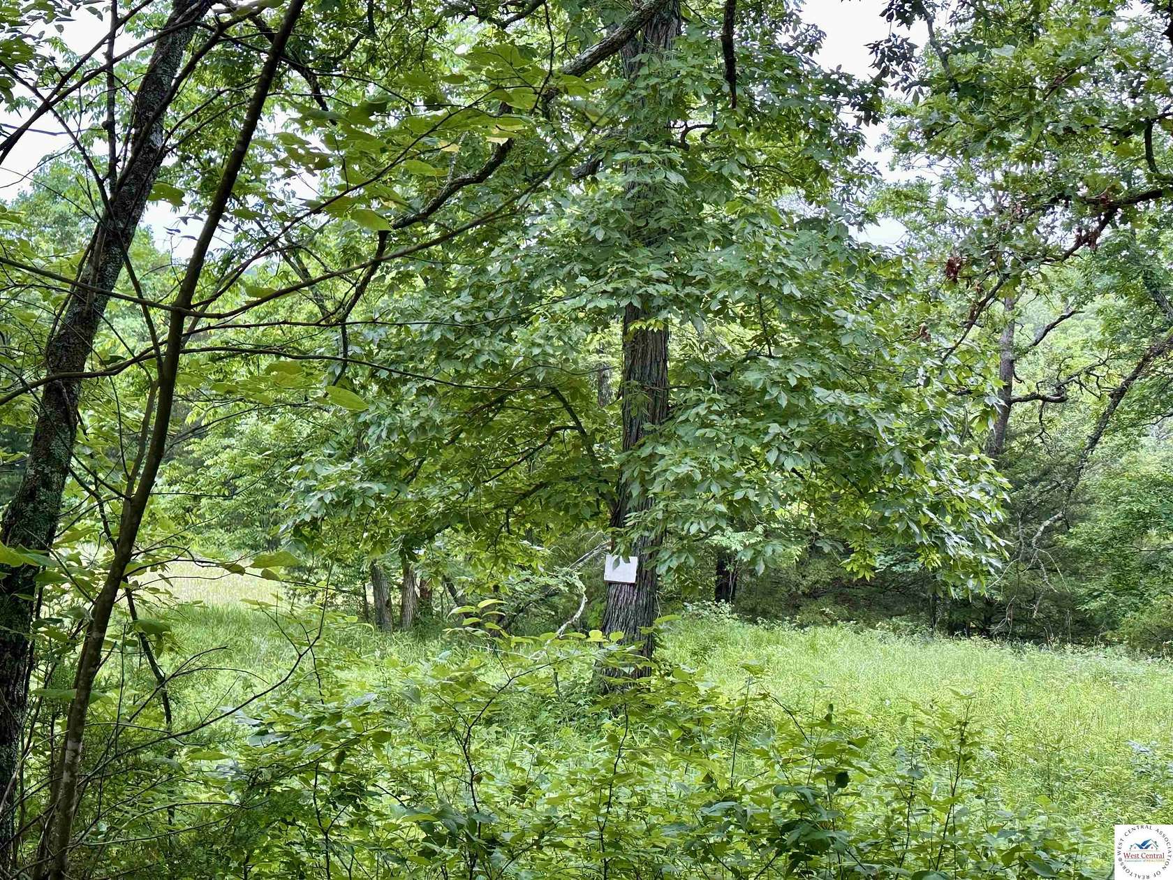 14.5 Acres of Land for Sale in Warsaw, Missouri