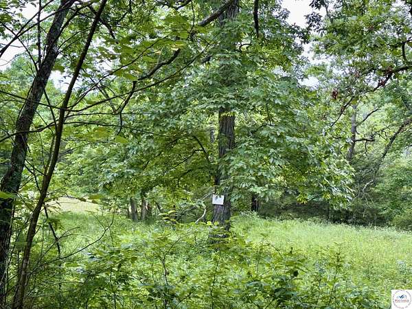 14.5 Acres of Land for Sale in Warsaw, Missouri