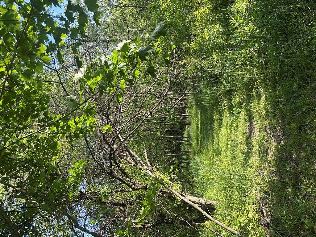 1.83 Acres of Residential Land for Sale in Mansfield, Ohio