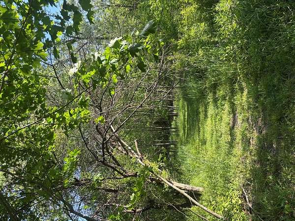 1.83 Acres of Residential Land for Sale in Mansfield, Ohio
