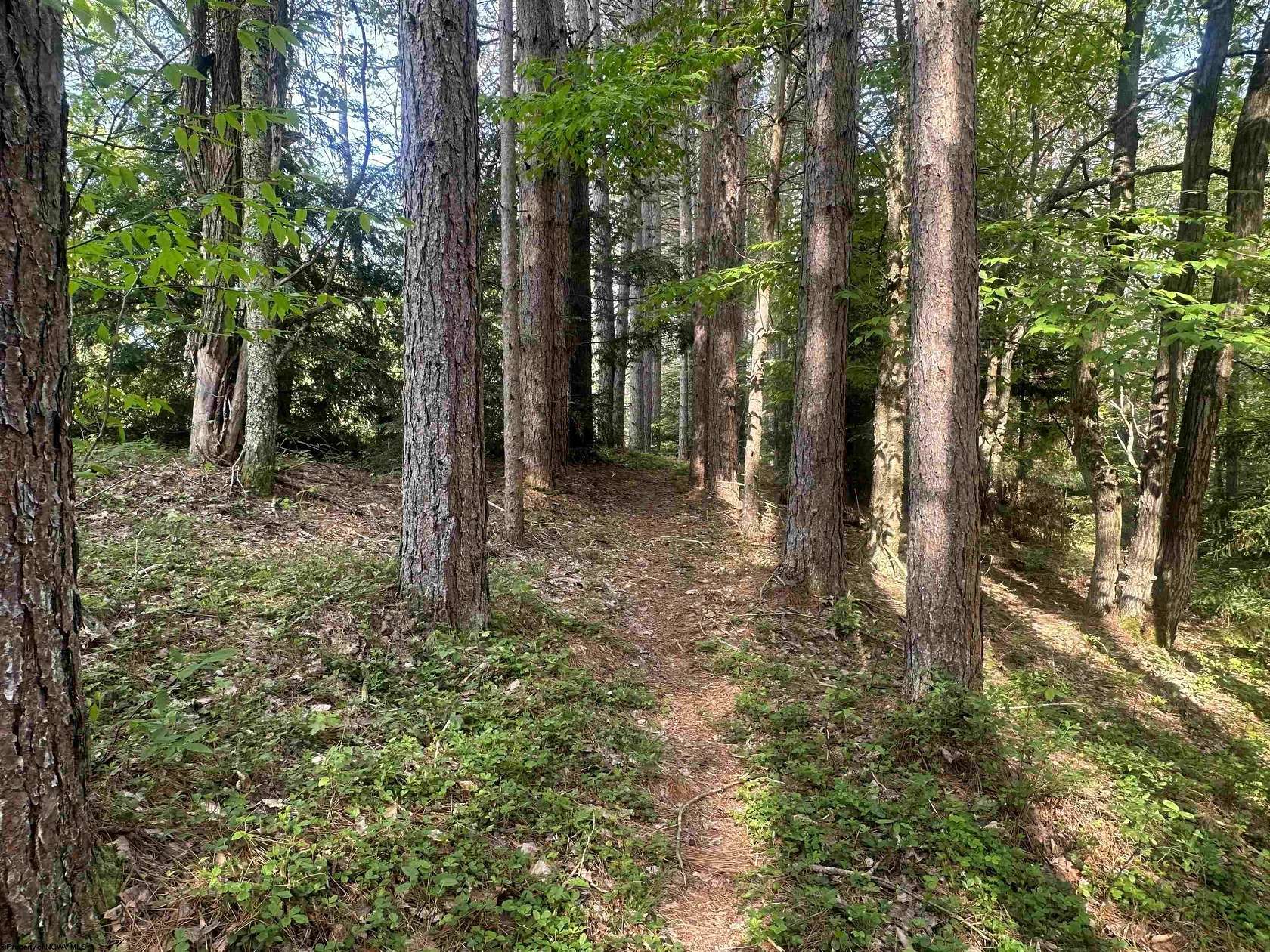 1 Acre of Residential Land for Sale in Davis, West Virginia