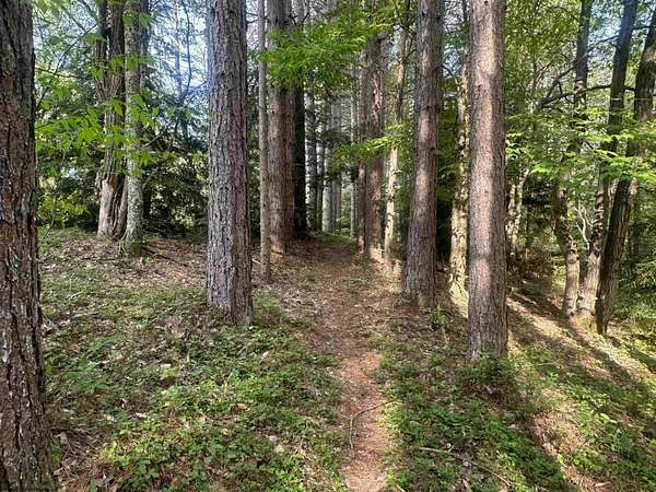 1 Acre of Residential Land for Sale in Davis, West Virginia