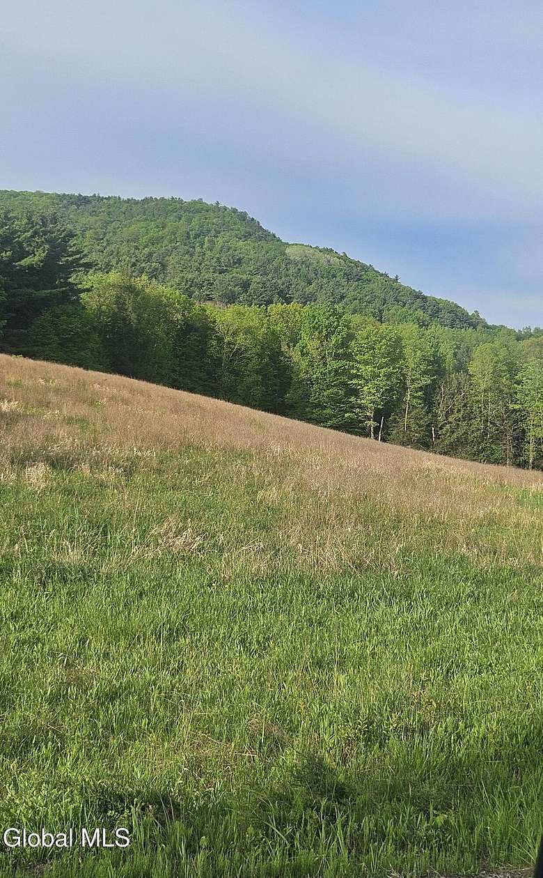 40 Acres of Land for Sale in Schoharie, New York