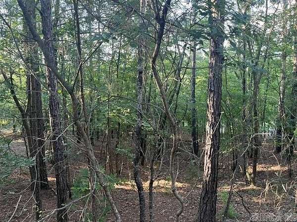 0.36 Acres of Residential Land for Sale in Hot Springs Village, Arkansas