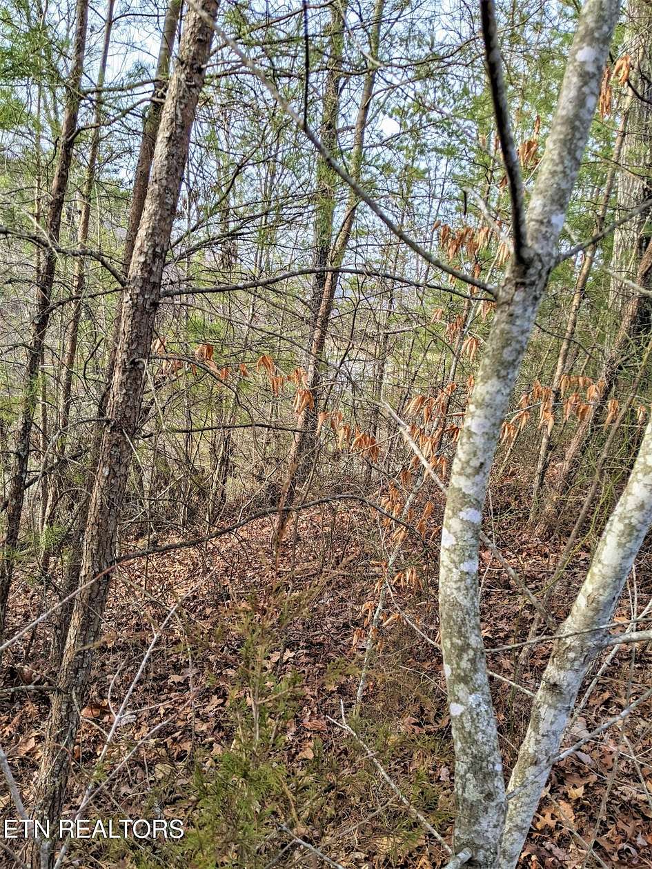 0.81 Acres of Residential Land for Sale in Russellville, Tennessee