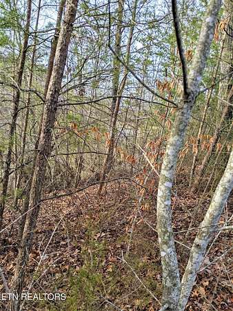 0.81 Acres of Residential Land for Sale in Russellville, Tennessee