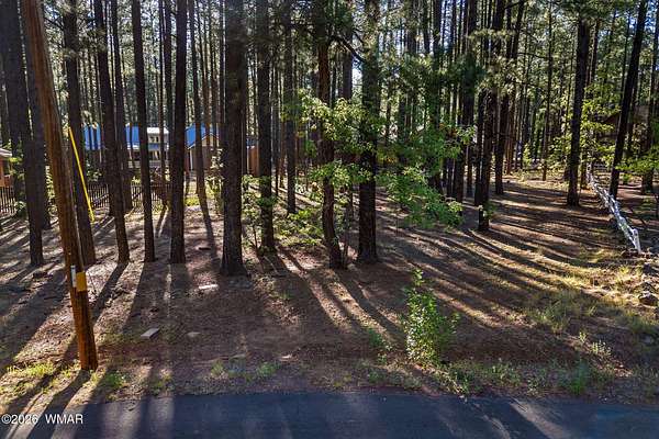 0.35 Acres of Residential Land for Sale in Pinetop, Arizona
