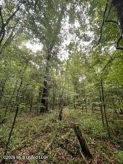 144 Acres of Land for Sale in Hazlehurst, Mississippi