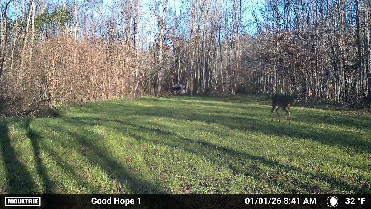 235 Acres of Recreational Land for Sale in Edwards, Mississippi