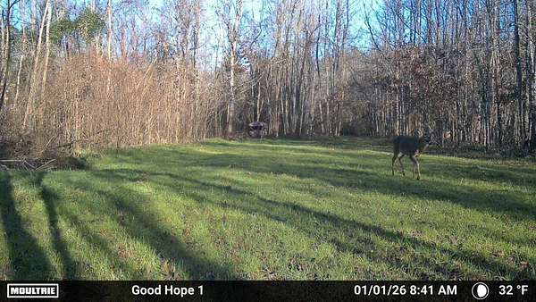 235 Acres of Recreational Land for Sale in Edwards, Mississippi