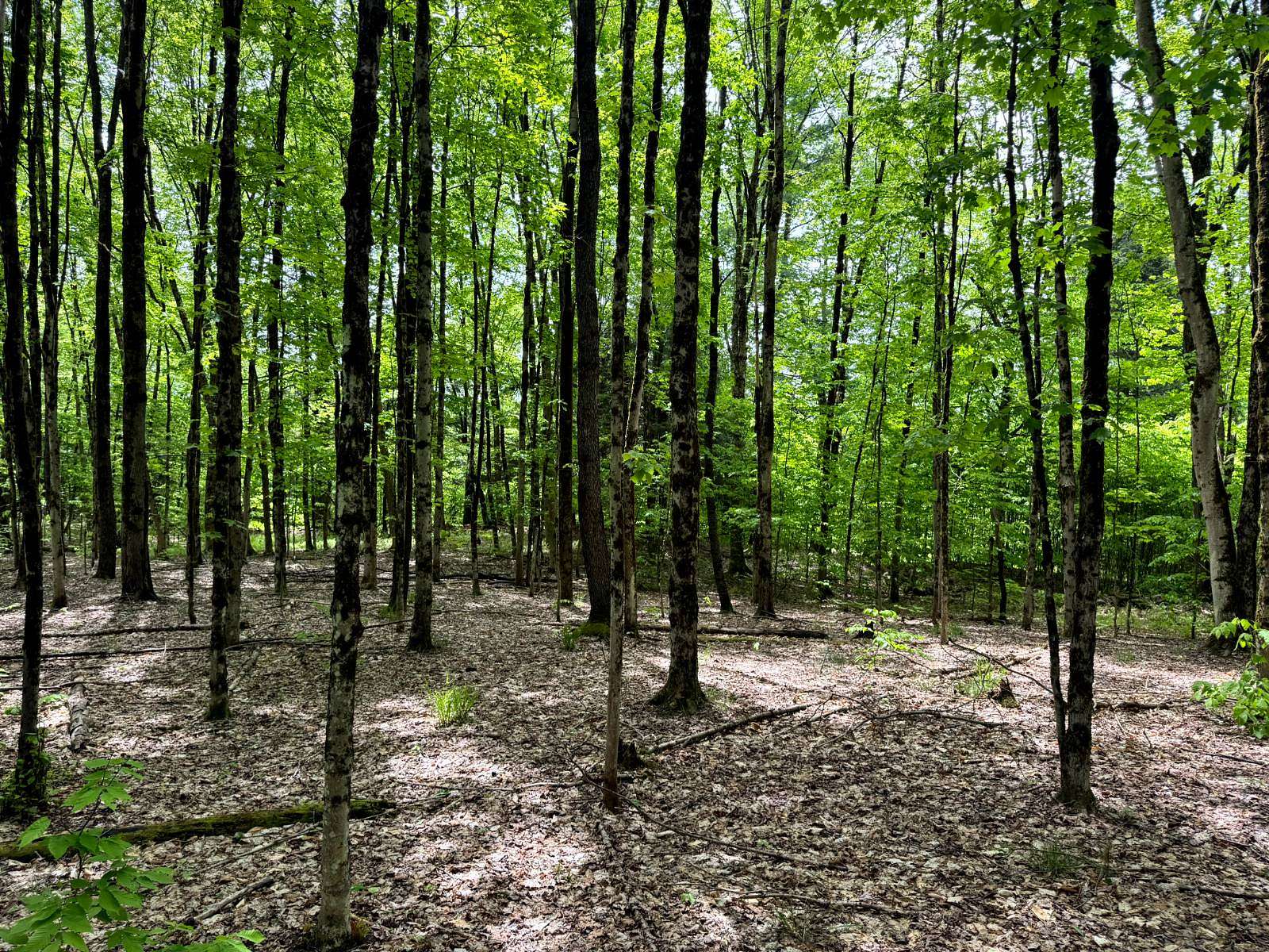 25.1 Acres of Recreational & Residential Land for Sale in Vienna, New York