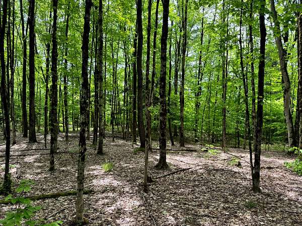25.1 Acres of Recreational & Residential Land for Sale in Vienna, New York