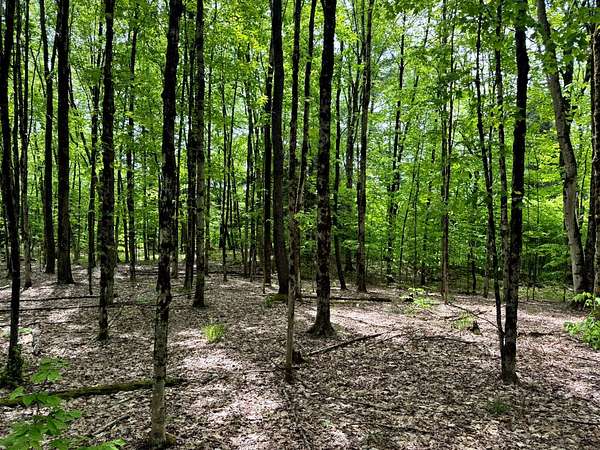 25.1 Acres of Recreational & Residential Land for Sale in Vienna, New York